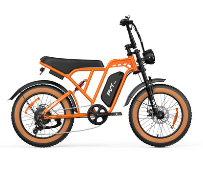 PVY A20（副本）